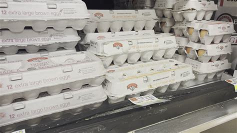 Mercy for Animals pressures Hannaford after delaying its cage-free eggs pledge | newscentermaine.com