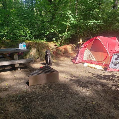 Jones Creek Camping | Tillamook, OR