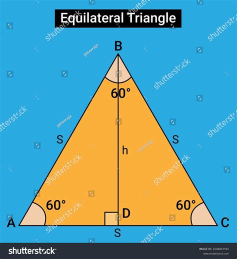 Image result for What Is Equilateral Triangle
