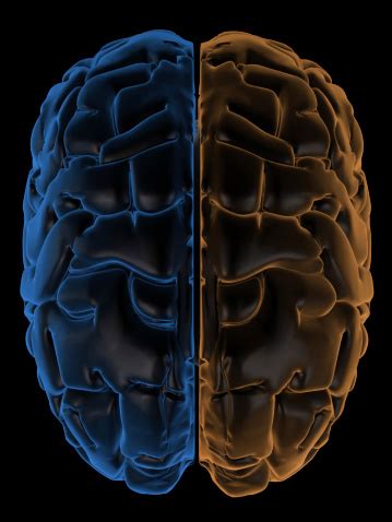 Image result for Mind Exploding Back Cover