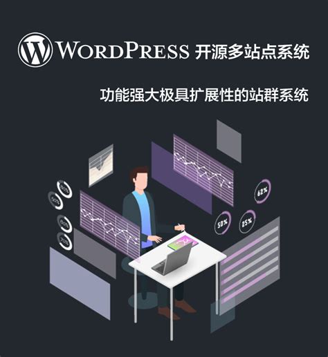 WordPress 多站点站群部署 | 系统配置 站群框架 基础平台 - 薇晓朵数字商城
