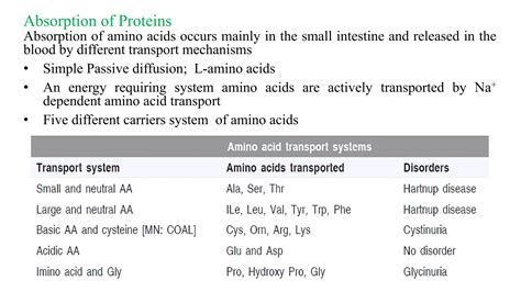 Digestion absorption of proteins, Protein digestion abnormalities, simplified notes.pdf