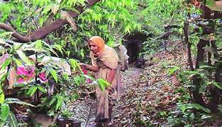 आर्थिक गुन्हा
