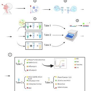 Image result for Negative Control for SysV