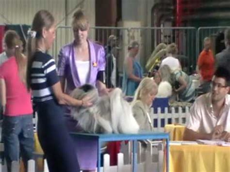 Rezultat imagine pentru Mcped.com Mod