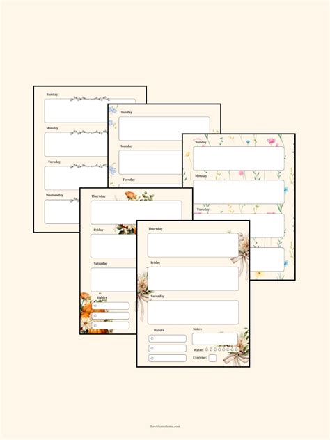 Weekly Routine 的图像结果
