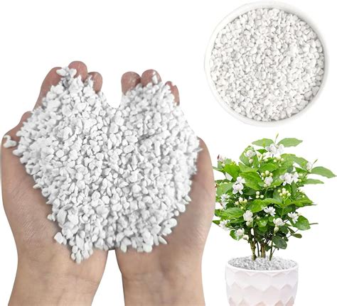 Amazon.com : Zeyuansen 2 Quarts Organic Horticultural Perlite for Plants Natural Horticultural ...