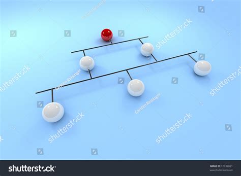 Backbone Network 的图像结果