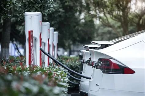 Types of Vehicles 的图像结果