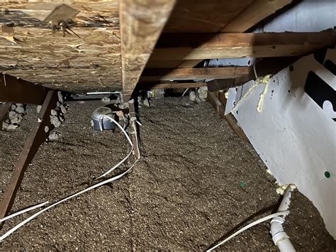 What unholy nightmare is making these nests in my attic? Georgia, USA : r/whatsthisbug
