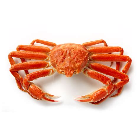 Opilio Crab Underwater Clusters