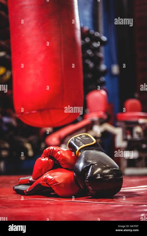 Boxing Stuff 的图像结果