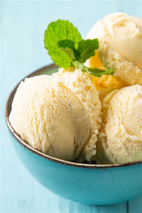 Vegan Ice Cream Recipe With Ice Cream Maker at Harrison Grove blog