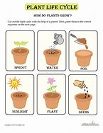 Image result for Ways Plants Grow