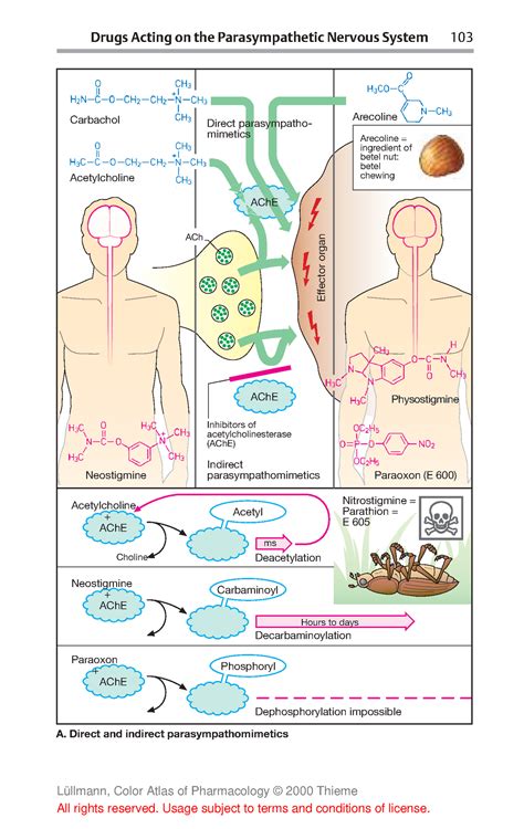 Anti-tb-23 - practice materials for pharmacy students to study and ...