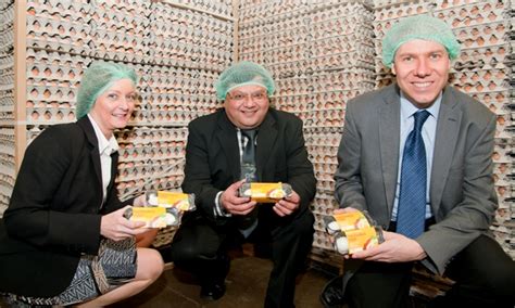 Image result for Egg Shell Recycle