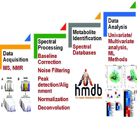 Image result for Metabolomics Tutorial