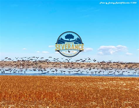 Take our communications survey and get town news! 📰 Take our survey now ...