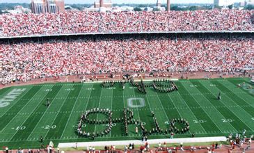 Image result for OSU Script Ohio
