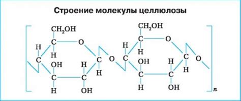 Целлюлоза – формула, строение молекул