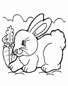 ausmalbilder tiere hase ausmalbilder hase 06 ausmalbilder tiere ausmalbilder tiere hase ausmalbilder hase 06 ausmalbilder tiere