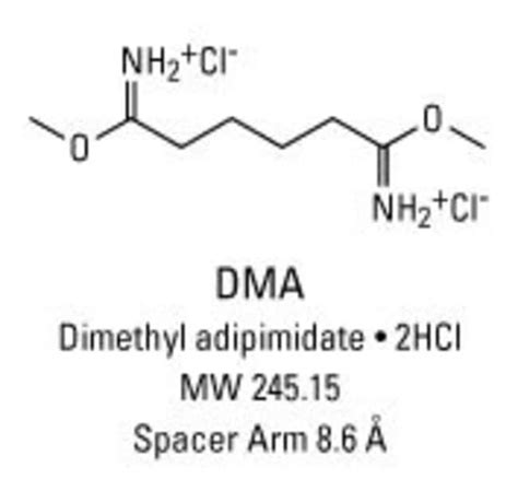 Image result for Lab Assistant Resume Example