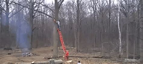 Logging Tree Fails Compilation 的图像结果