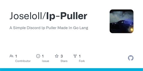 IP Puller Tutorial 的图像结果