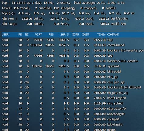 Explaining Linux Top 的图像结果