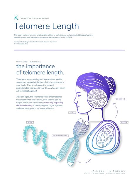 TruDiagnostics Epigenetic Test - Advanced Aging Analysis India | Aiwo ...