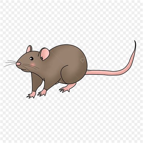 Mouse Rat Clipart PNG Images, Brown Mouse Rat Clipart, Mouse Clipart ...