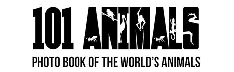 101 Animals: Photo Book of the World's Animals eBook : Li, Johnny ...
