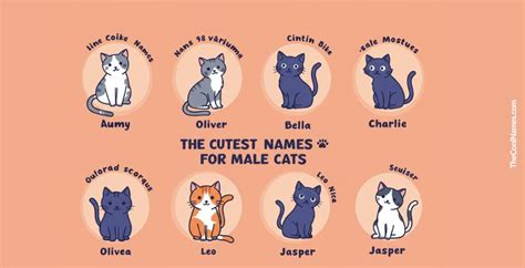 Male Cat Names A-Z: Creative Picks For Every Personality