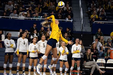 Michigan volleyball takes down MSU for 10th straight match