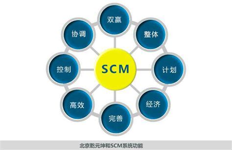 SCM Code 的图像结果