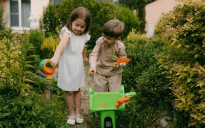 Little Tutorial 的图像结果