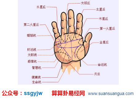 手相八卦相关阅读_手相八卦在线阅读--周易算命网