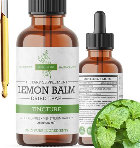 Amazon.com: Double Wood Supplements Lemon Balm Tincture - Organic Lemon ...