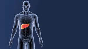 Healthy Liver Diet: सिर्फ एक कप... और लिवर की सारी बीमारियां होंगी दूर ...