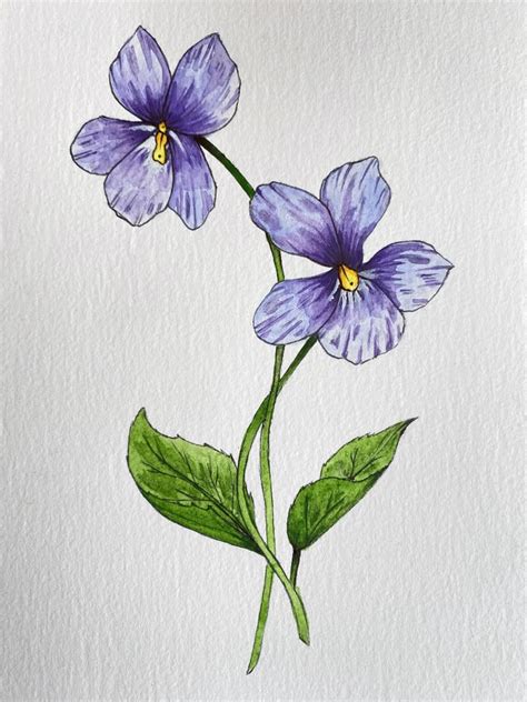 Violet Floral Painting Illustration - Etsy UK | Violet flower tattoos ...