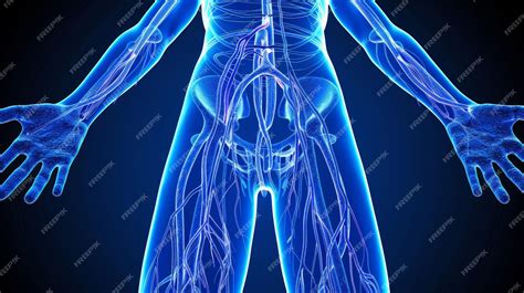 Amyotrophic lateral sclerosis muscle weakness and spinal cord atrophy ...