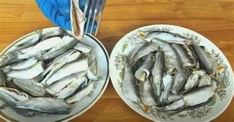 Как засолить кильку в домашних условиях - 5 быстрых и вкусных рецептов ...