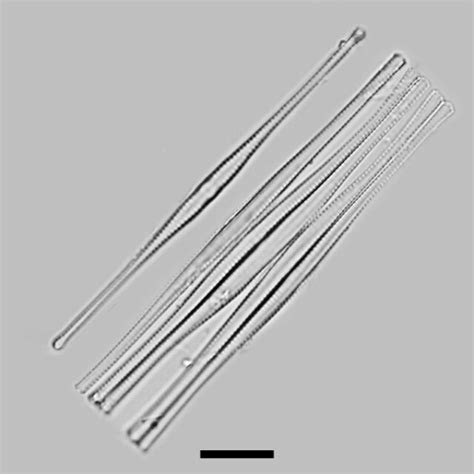 Image result for Module Machine System