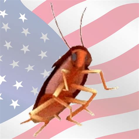 Ameroach | Roachism Wiki | Fandom