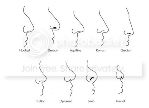 Image result for Fc05 CT Algorithm