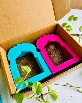Aalas- Gift Box