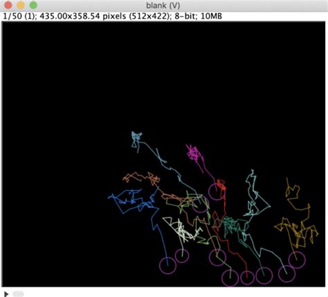 Image result for Manual Tracking ImageJ