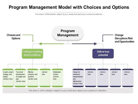 Image result for Program Management Model