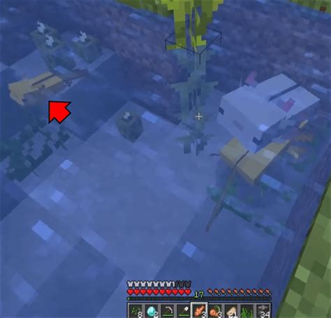 Image result for Minecraft Axolotl Farm Tutorial