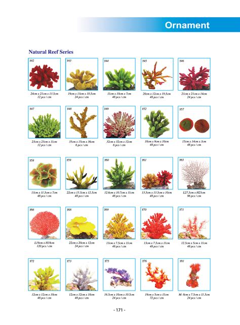 Ocean Plants Names